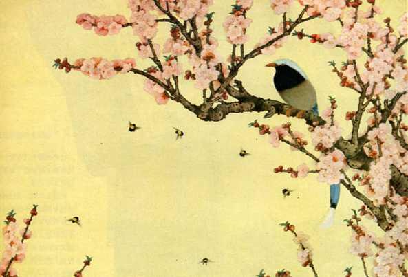 红杏尚书是指谁