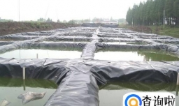 泥鳅养殖技术之无土养殖