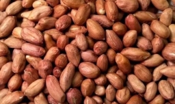 挂霜花生怎么做