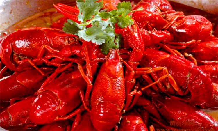 小龙虾能不能吃