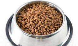 给狗狗喂药的办法