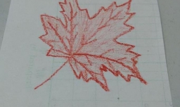 简笔画枫叶的画法