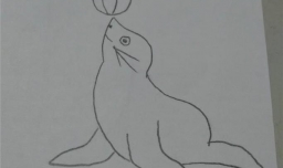 教你画简笔画 海豹