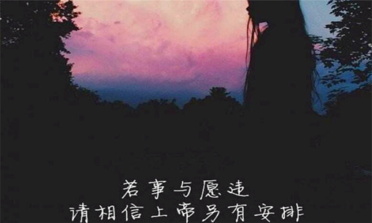 事与愿违什么意思