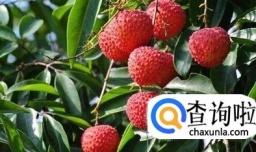 吃哪些东西容易被查出醉驾