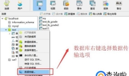 Navicat中如何应用数据传输功能
