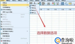 如何在SPSS软件中对数据进行描述性统计分析