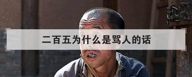 二百五为什么是骂人的话