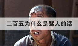 二百五为什么是骂人的话