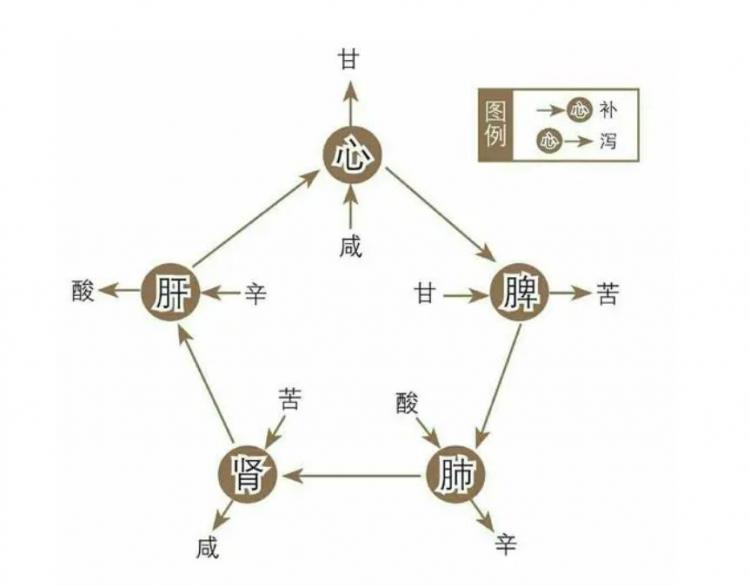 什么是寒性和热性水果