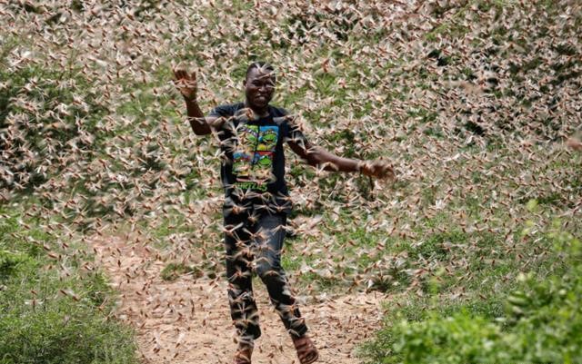 2020都发生了什么灾难