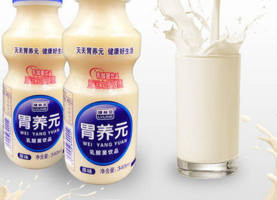 乳酸菌的代谢类型