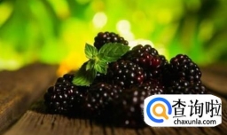 鲜榨桑葚汁的制作方法