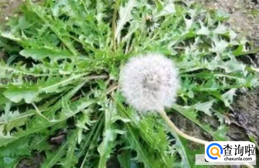 农历三月三日有什么禁忌