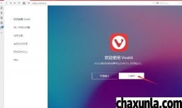 vivaldi浏览器(blink内核的浏览器)该如何设置