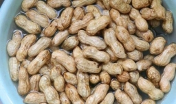 盐水花生的简易制作方法