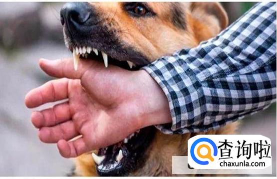 怎么看宠物是否患了狂犬病？