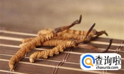 冬虫夏草种植技术