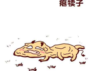 犊子是什么意思