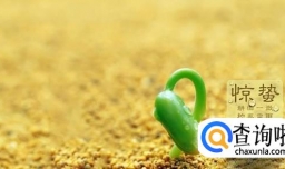 惊蛰时节吃哪些食物最养生