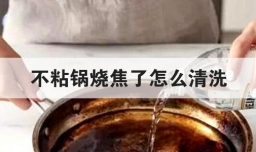 不粘锅烧焦了怎么清洗