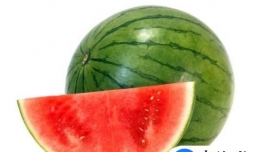 夏季解暑的几种食物