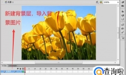 Flash中如何创建遮罩动画