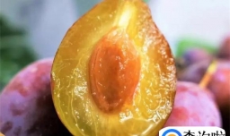 西梅紫色和红色之间的区别