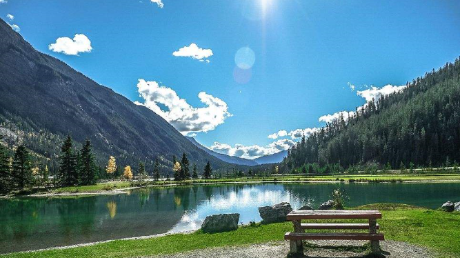 出其不意是什么意思