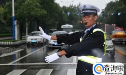 交警的工作范围是什么