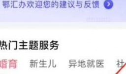 鄂汇办如何缴纳交通罚款