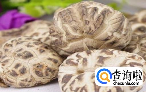 蘑菇怎样保存和保鲜