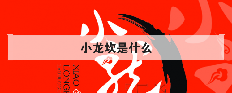 小龙坎是什么