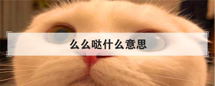 么么哒什么意思