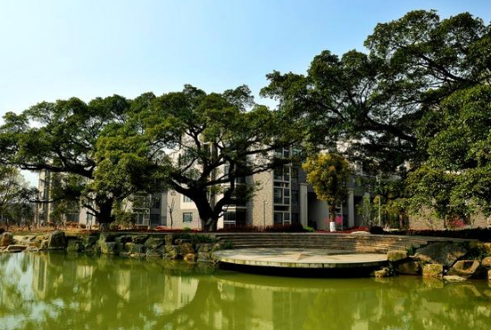 浙是哪里的简称