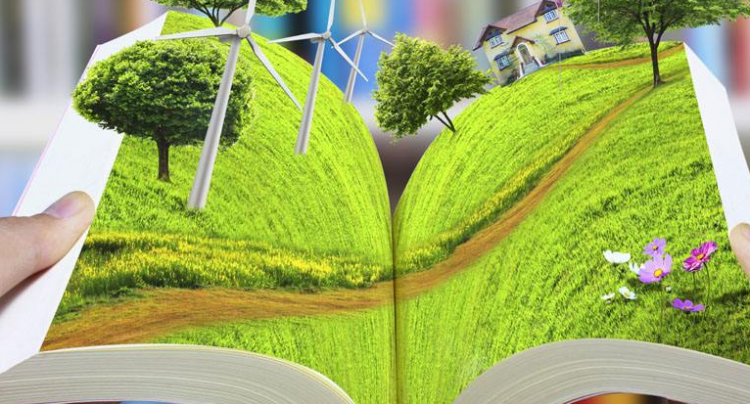 12的因数有哪些