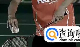 【羽毛球】羽毛球技术图解