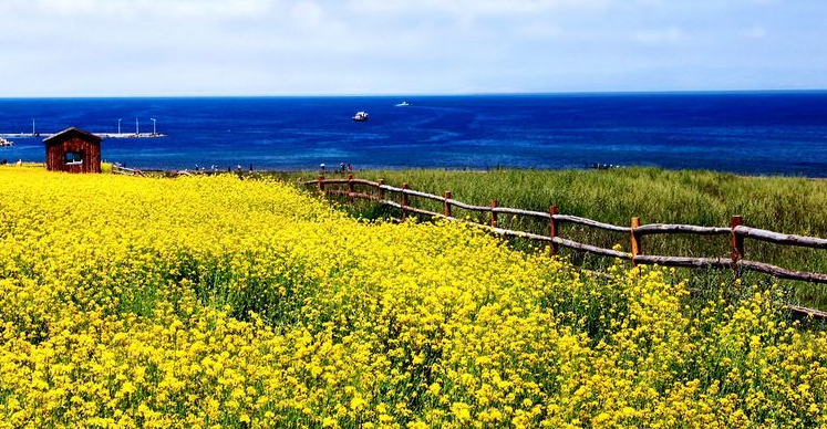 中国最大的咸水湖
