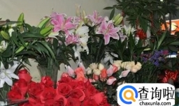 鲜花店应该怎么样经营？