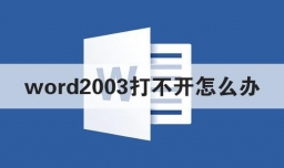 word2003打不开怎么办