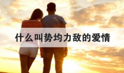 什么叫势均力敌的爱情