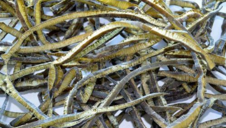 海茸的功效与禁忌