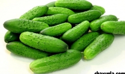 吃黄瓜当晚餐可以吗