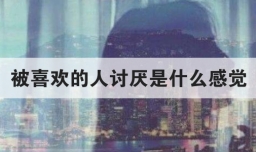 被喜欢的人讨厌是什么感觉