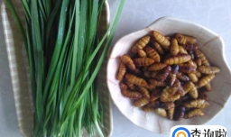 韭菜炒蚕蛹的做法
