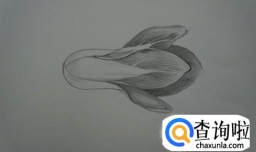 素描？自学就OK！