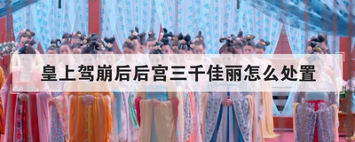 皇上驾崩后后宫三千佳丽怎么处置