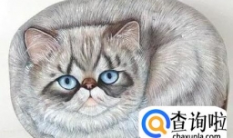 有趣的鹅卵石画