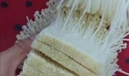 青椒酿金针菇怎么做