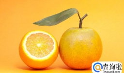 橘子不能和什么一起吃